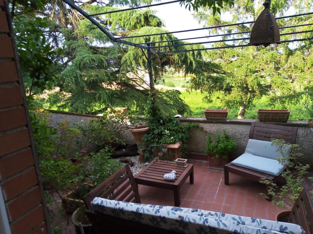 B&B La Gallinella Rossa Baschi Exterior foto