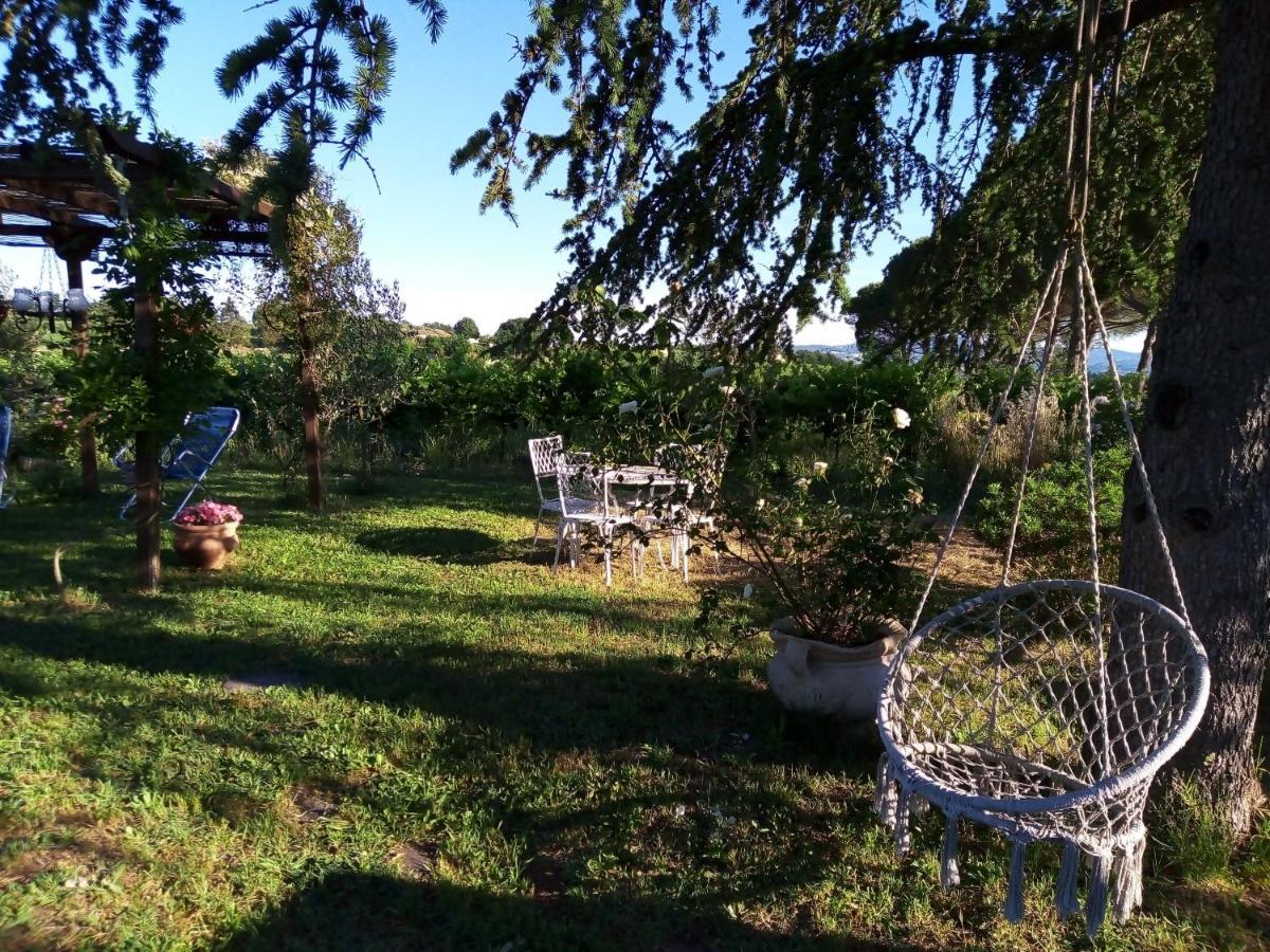 B&B La Gallinella Rossa Baschi Exterior foto