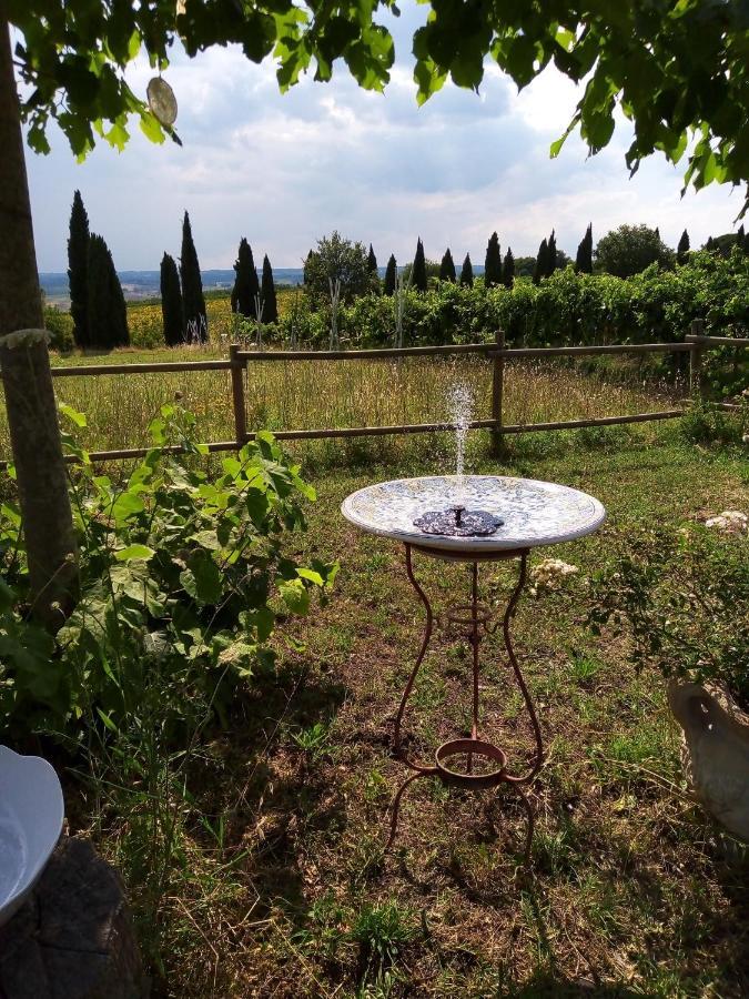 B&B La Gallinella Rossa Baschi Exterior foto