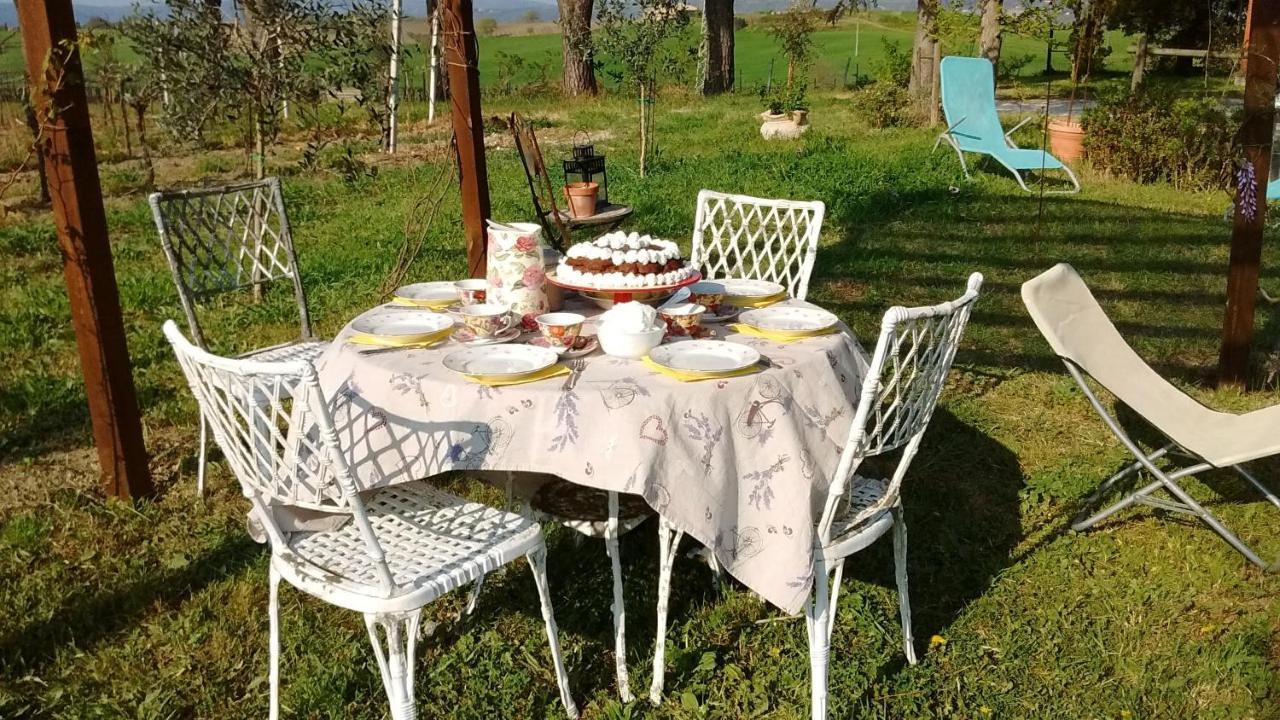 B&B La Gallinella Rossa Baschi Exterior foto