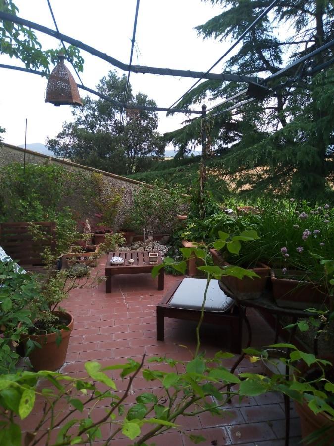 B&B La Gallinella Rossa Baschi Exterior foto