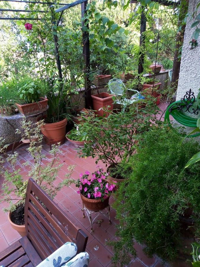 B&B La Gallinella Rossa Baschi Exterior foto