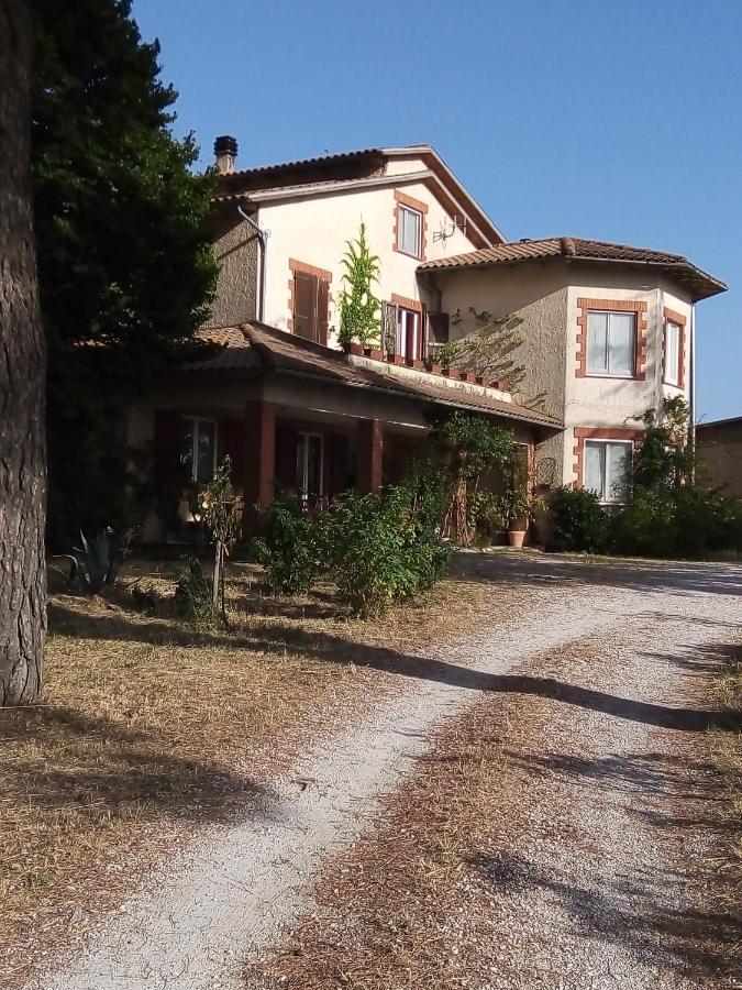 B&B La Gallinella Rossa Baschi Exterior foto